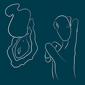 Position Kiss between 2 fingers for a comfortable grip. Press the stimulation head on your clit with light pressure. Explore your body and find the spot that feels good for you.