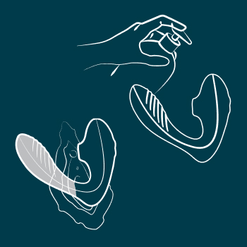 After applying water-based lube, carefully insert the shaft into the vagina, and let the clitoral stimulation head touch your clit. Make it comfortable with your body, and take the time to explore what feels good.