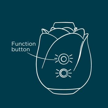 Briefly press the function button to cycle through 6 intensity levels and 4 patterns… and again… and again… until you r-o-o-o-mp.  Hold the power button for 2 secs, and ROMP Rose will switch off.