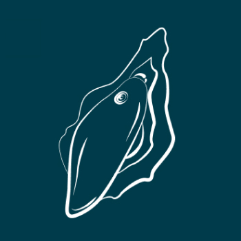 Position ROMP Wave on your vulva and clit, and make it comfortable with your body. Take the time to explore what feels good.