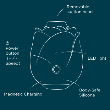 Turn ROMP Rose Glow on by pressing the power button for 2 seconds.
